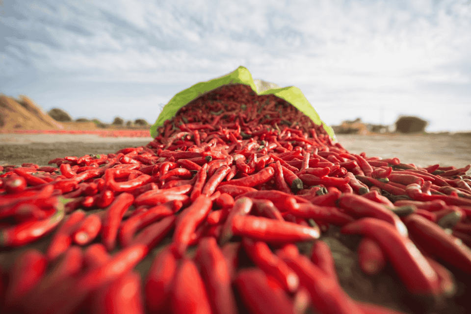 red chili flakes