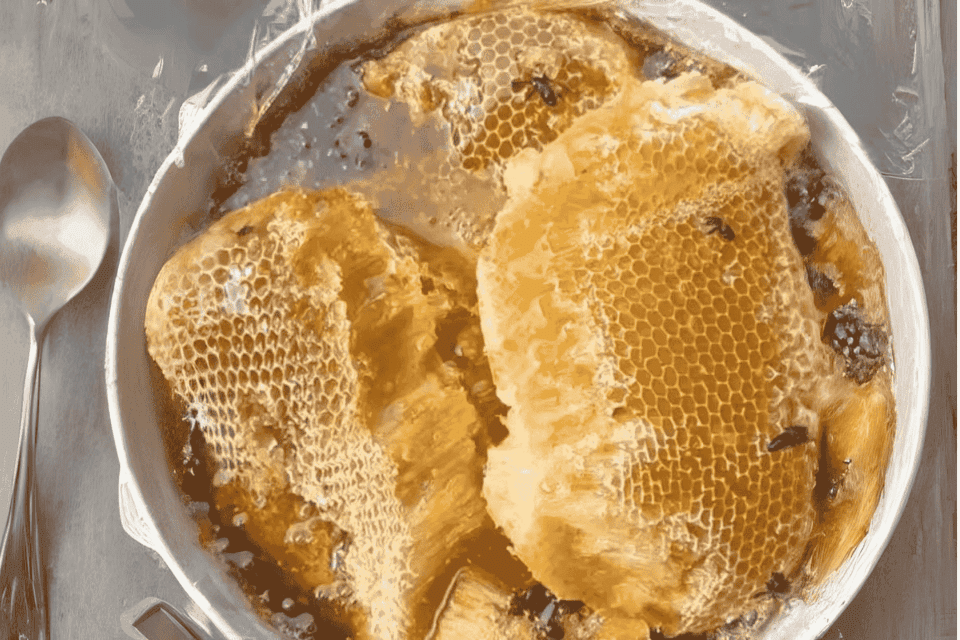 big bee honeycombs